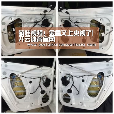 开云体育官网
