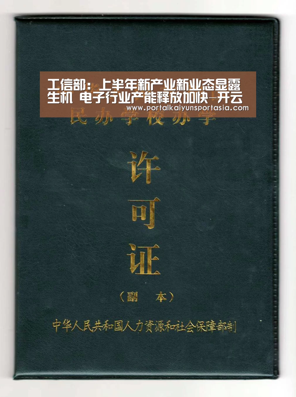 开云体育官网