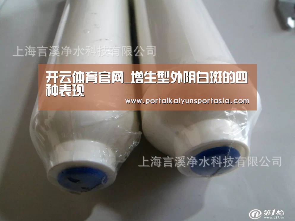 开云体育官网_增生型外阴白斑的四种表现(图2) 开云体育官网